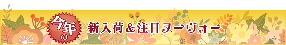 新入荷バナー