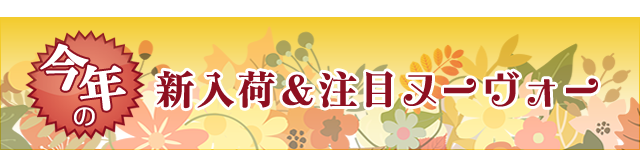 新入荷バナー