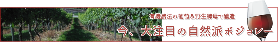 自然派注目バナー